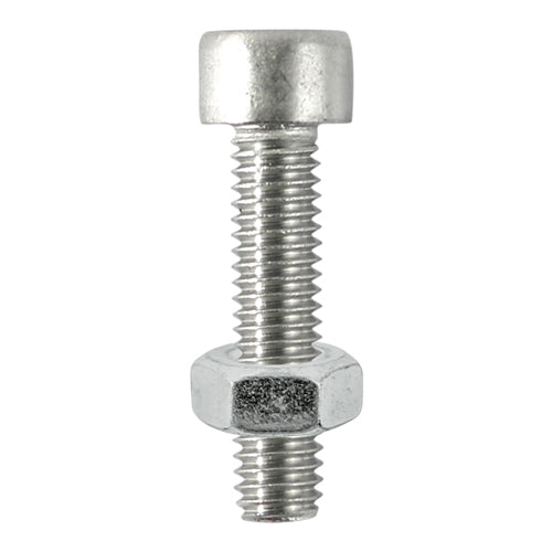 Timco Cap Socket Screw & Nut - Stainless Steel