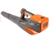 Yardforce Leaf Blower Battery