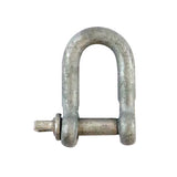 Timco Dee Shackle