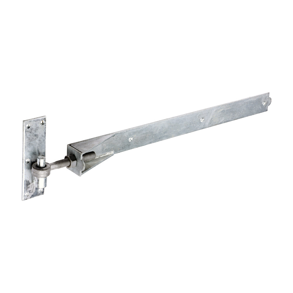 Timco Adjustable Band & Hook on Plate