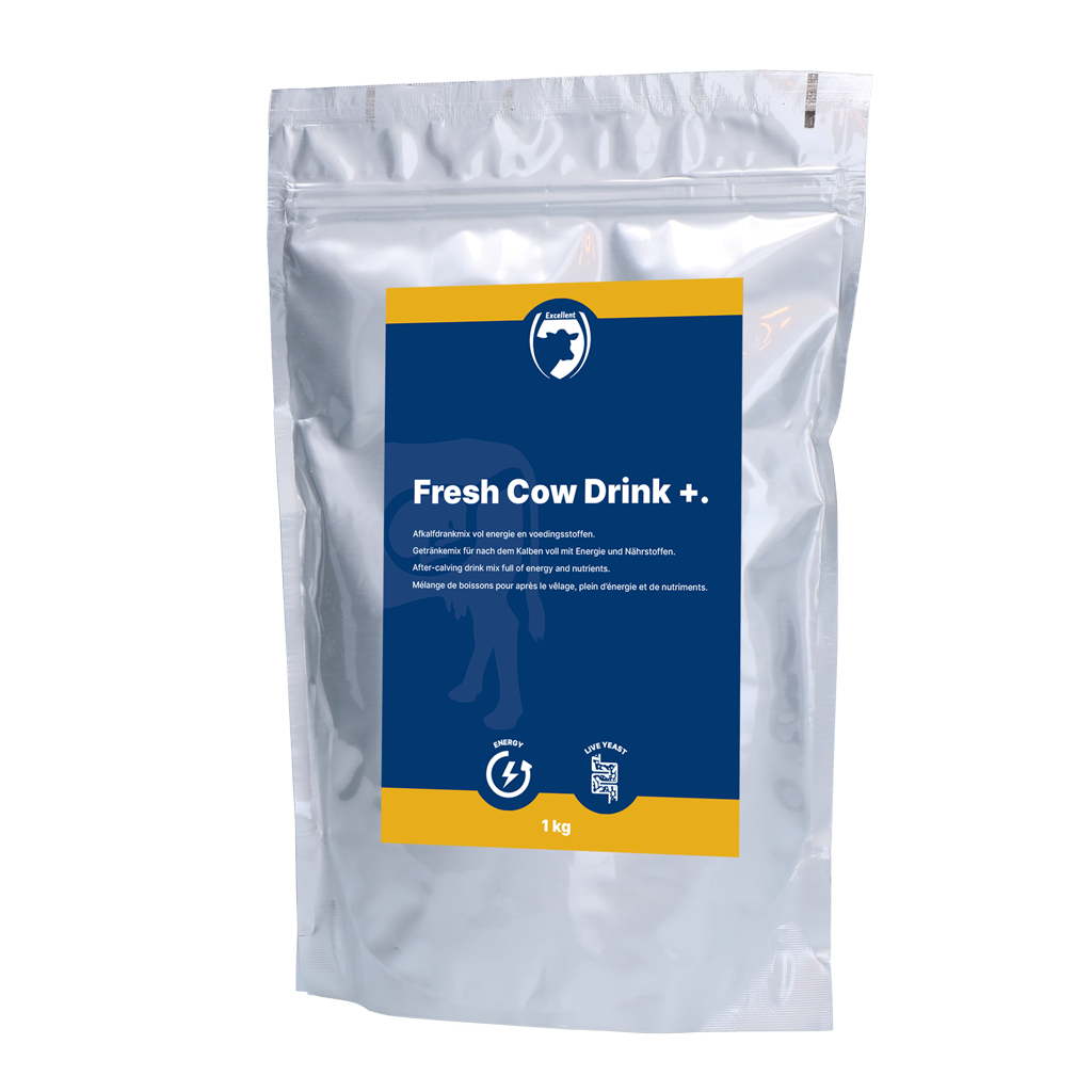 Excellent Fresh Cow Drink +