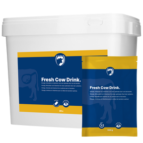 Excellent Fresh Cow Drink