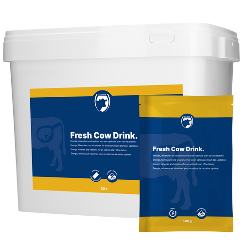 Excellent Fresh Cow Drink 20 x 500 g