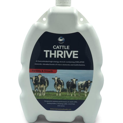 CATTLE THRIVE