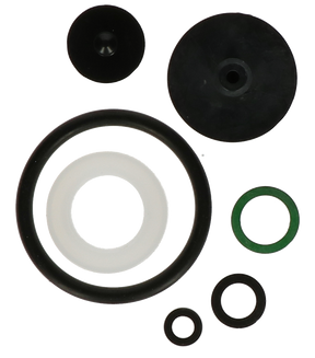 Birchmeier DR5 Gasket Set