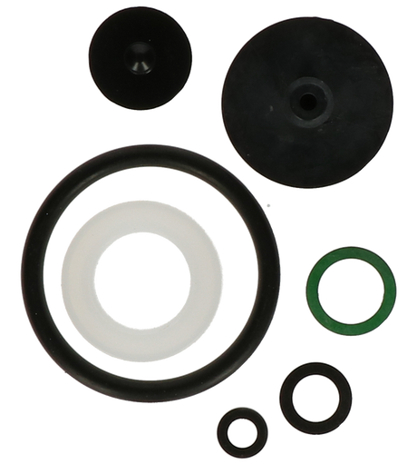 Birchmeier DR5 Gasket Set