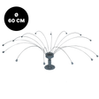 Birdshield Longlegs