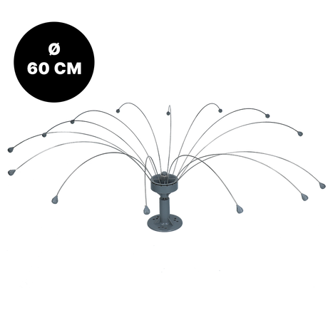 Birdshield Longlegs