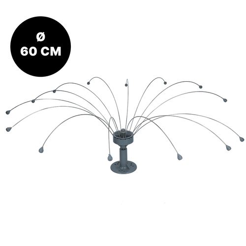 Birdshield Longlegs