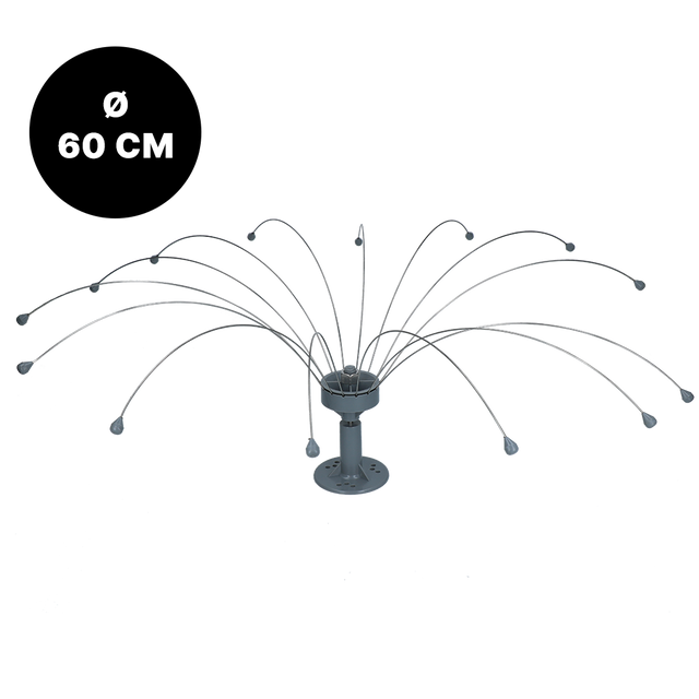 Birdshield Longlegs