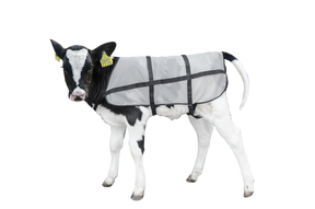 Bodyguard Calf Summer Blanket