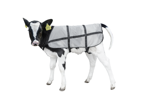 Bodyguard Calf Summer Blanket