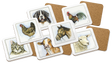 Boerenwinkel Coasters