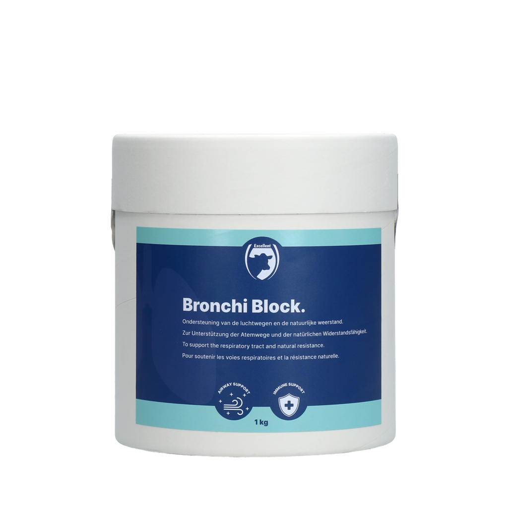 Excellent Bronchi Block