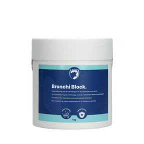 Excellent Bronchi Block