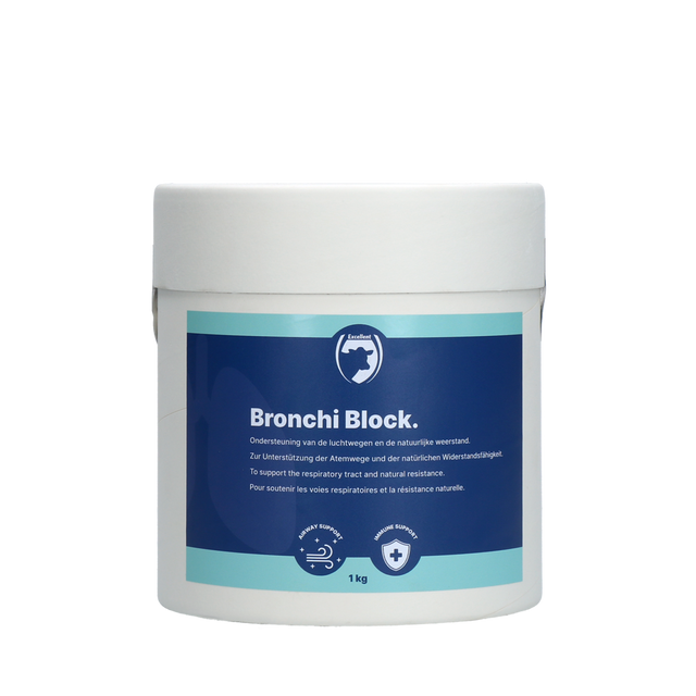 Excellent Bronchi Block