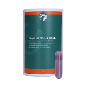 Excellent Sheep Calcium Bolus Gold 24 pieces