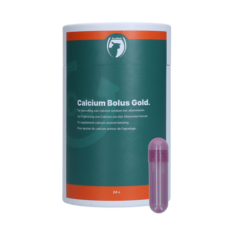Excellent Sheep Calcium Bolus Gold 24 pieces