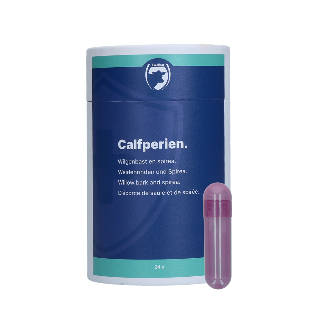 Excellent Calfperien