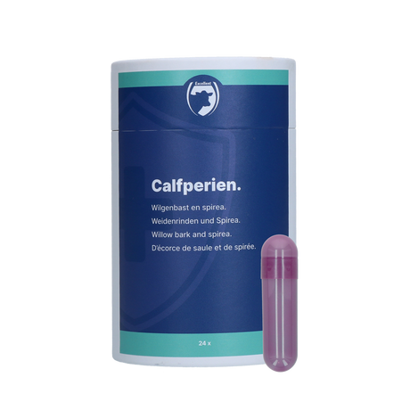 Excellent Calfperien