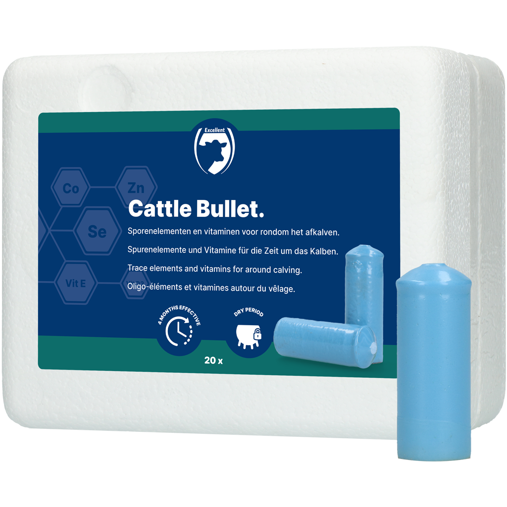 Excellent Cattle Bullet