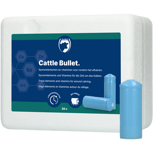 Excellent Cattle Bullet Dry Cow Bolus (20)