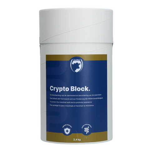 Excellent Crypto Block Powder