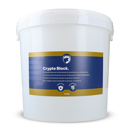 Excellent Crypto Block