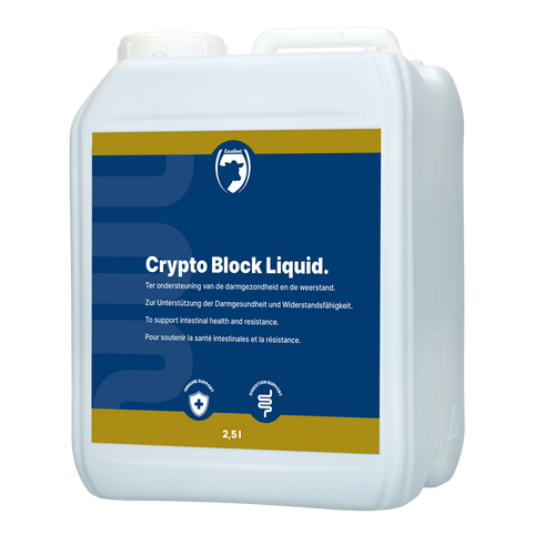 Excellent Crypto Block Liquid 2.5 L