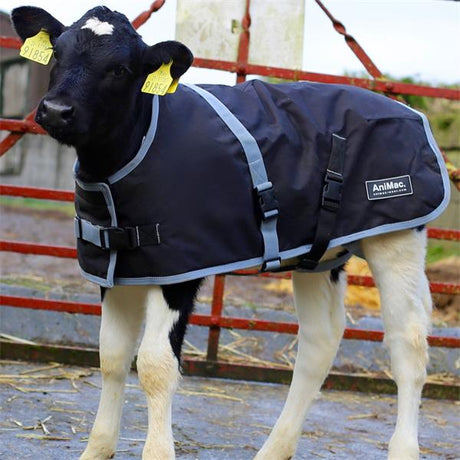 AniMac super calf jacket