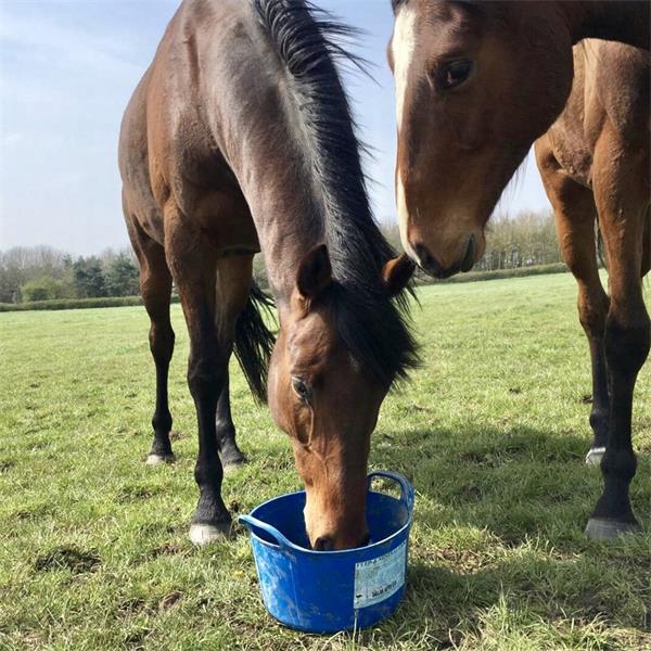 Equine Flexi Essential Tub Mineral Lick 12.5kg