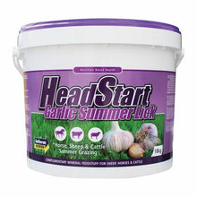 Headstart Garlic Summer Lick 18KG