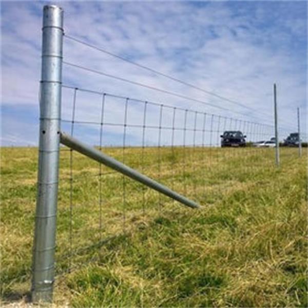 CLIPEX 76MM STAYFAST ECO/TUBE STRAINER