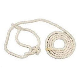 Halter Cattle