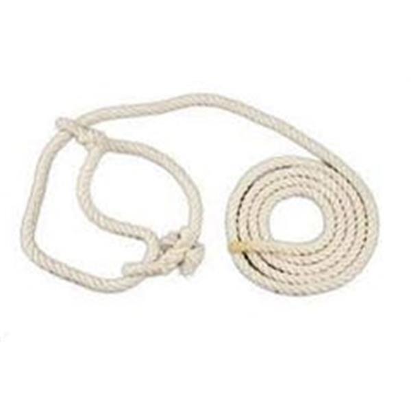 Halter Cattle