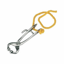 Bullholder with rope