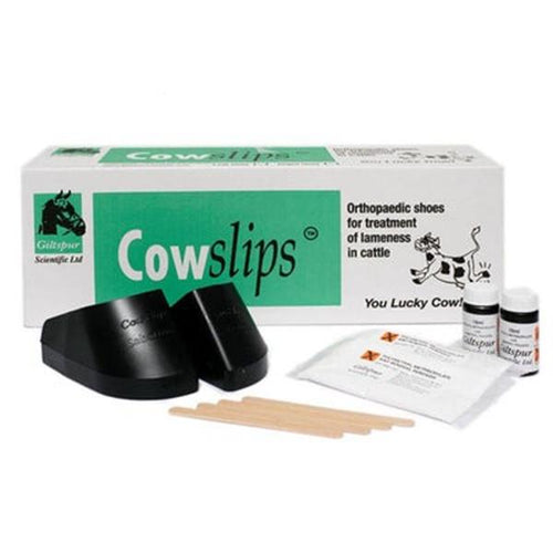 Cowslips 10 pack (Mixed)