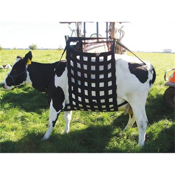 SHOOF COW LIFTER LIFTEASE COMPLETE