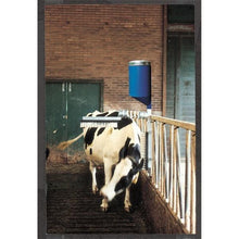 CATTLE BRUSH WITH DISPENSER