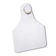 TAG WHITE LGE FEMALE BLANK EACH Pack 100