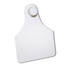 TAG WHITE LGE FEMALE BLANK EACH Pack 100