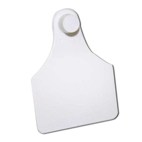 TAG WHITE LGE FEMALE BLANK