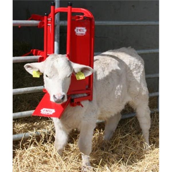 O’Neill Calf & Sheep Staller