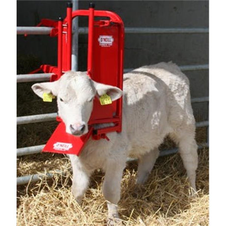 O’Neill Calf & Sheep Staller