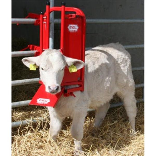 O’Neill Calf & Sheep Staller