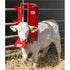 O’Neill Calf & Sheep Staller