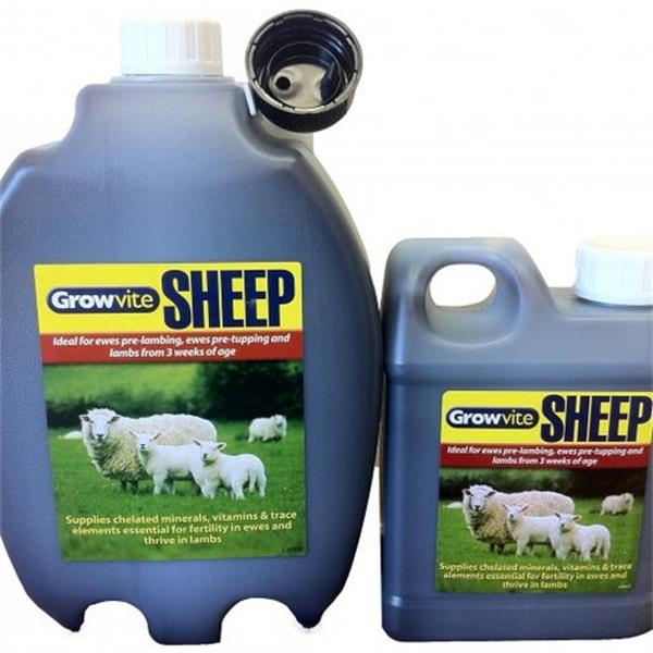 Growvite Sheep 2.5 Litres