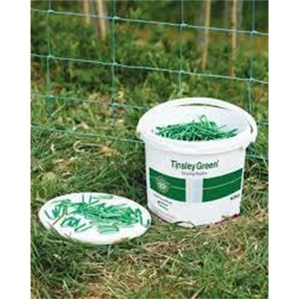 Green Staples 40mm 5kg