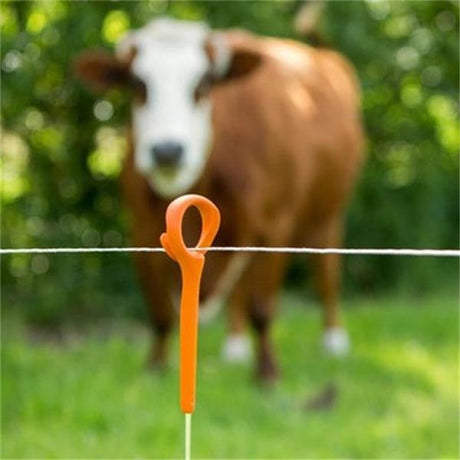 Gallagher Ring Top Posts