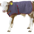 Thermal Calf Coat